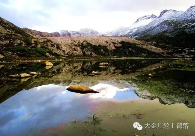 探索高考失利后该不该复读?的知识星球,解锁无限学习之旅