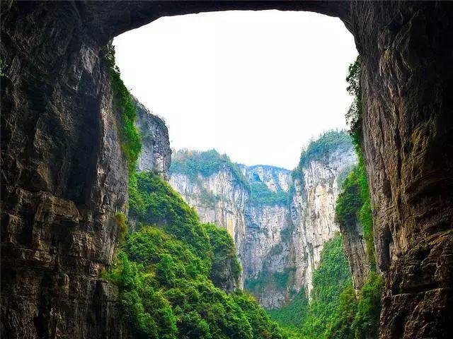 我叫MT4